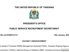 NAFASI za Kazi Utumishi January 2026