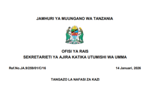 NAFASI za Kazi Mlezi wa Watoto Msaidizi (Child Crae Assistant) Utumishi