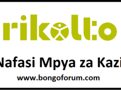 NAFASI za Kazi Rikolto in East Africa